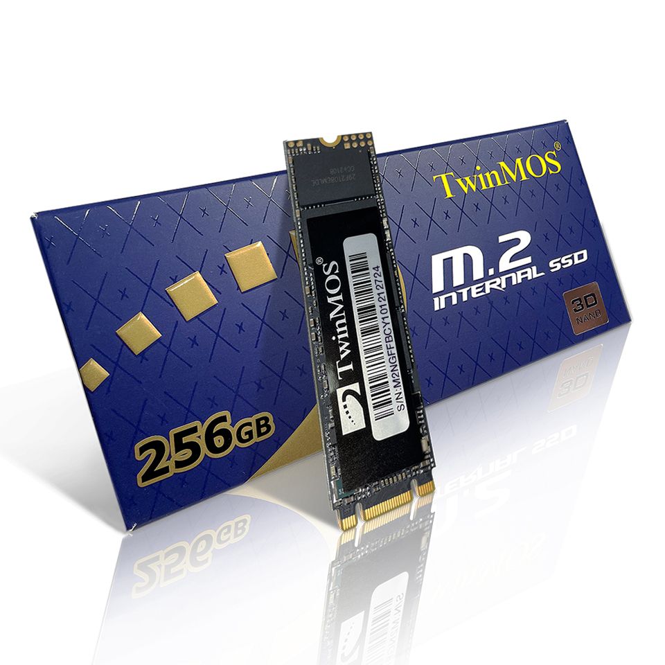 TWINMOS 256GB 580/550MB/s M.2 2280 SATA 3.0 SSD NGFFEGBM2280